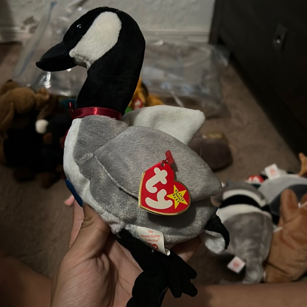 Beanie baby